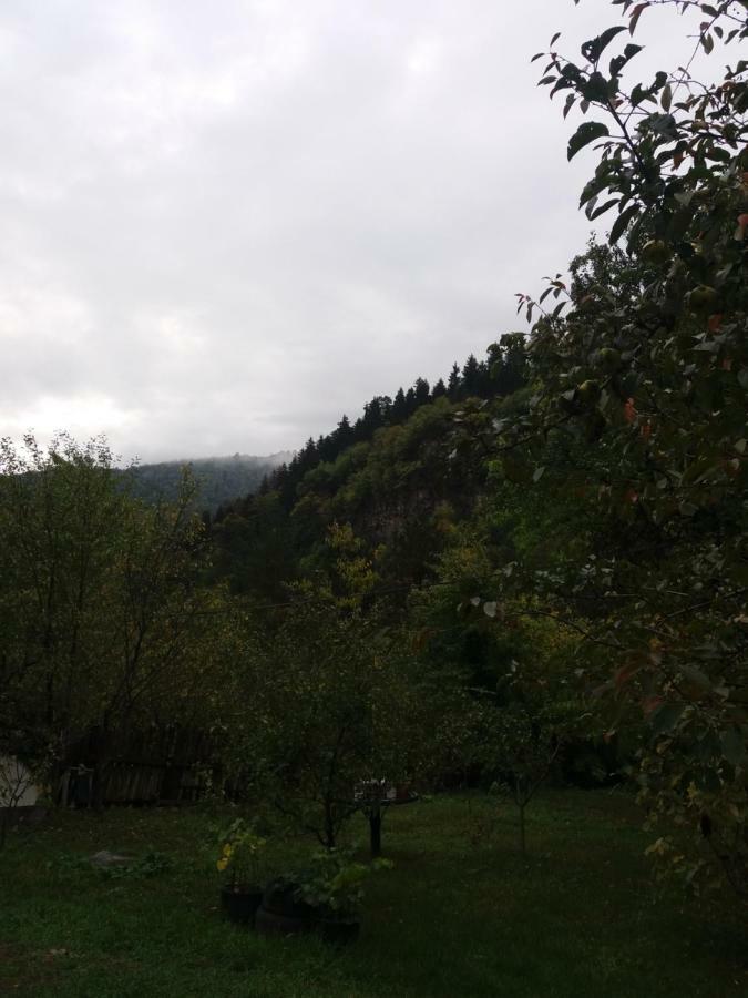 Apartament Lashagiorgi Borjomi Exterior photo